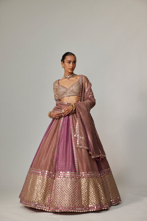 Mud Mauve Multicolor Sequin Scatter Lehenga With Elbow Sleeve Blouse